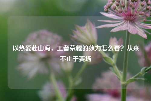 以热爱赴山海,王者荣耀的效力怎么看?从来不止于赛场