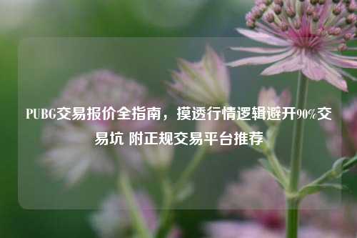 PUBG交易报价全指南，摸透行情逻辑避开90%交易坑 附正规交易平台推荐