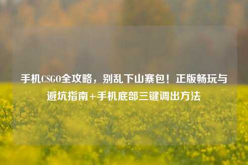 手机CSGO全攻略，别乱下山寨包！正版畅玩与避坑指南+手机底部三键调出方法