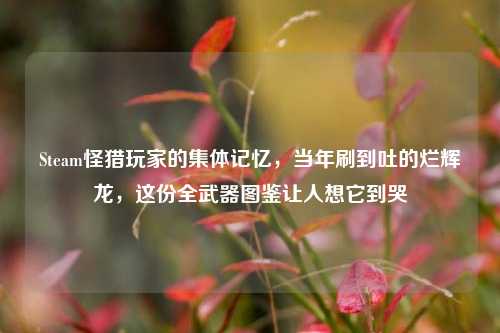 Steam怪猎玩家的集体记忆，当年刷到吐的烂辉龙，这份全武器图鉴让人想它到哭