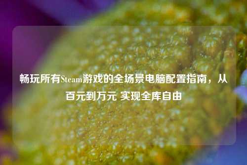 畅玩所有Steam游戏的全场景电脑配置指南，从百元到万元 实现全库自由