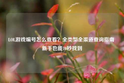 LOL游戏编号怎么查看？全类型全渠道查询指南 新手也能10秒找到