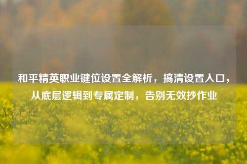 和平精英职业键位设置全解析，搞清设置入口，从底层逻辑到专属定制，告别无效抄作业