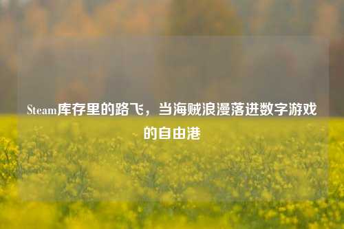 Steam库存里的路飞，当海贼浪漫落进数字游戏的自由港