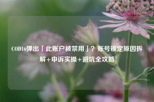 COD16弹出「此账户被禁用」?账号锁定原因拆解+申诉实操+避坑全攻略