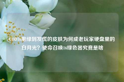 COD16里绿到发慌的皮肤为何成老玩家硬盘里的白月光？使命召唤16绿色器究竟是啥