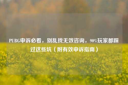 PUBG申诉必看，别乱找无效咨询，90%玩家都踩过这些坑（附有效申诉指南）