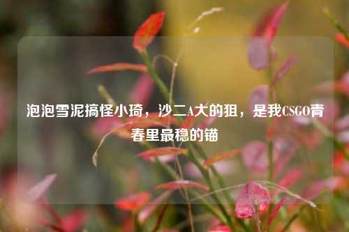 泡泡雪泥搞怪小琦，沙二A大的狙，是我CSGO青春里最稳的锚