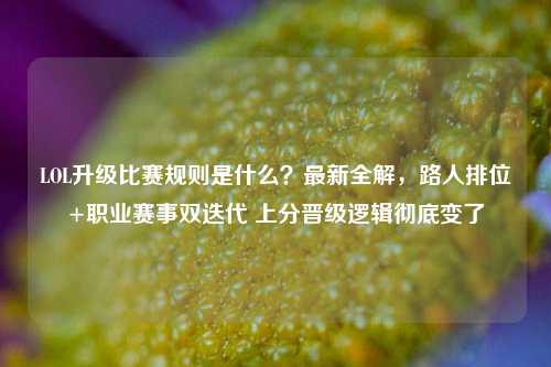 LOL升级比赛规则是什么？最新全解，路人排位+职业赛事双迭代 上分晋级逻辑彻底变了