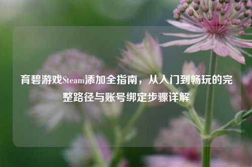 育碧游戏Steam添加全指南，从入门到畅玩的完整路径与账号绑定步骤详解