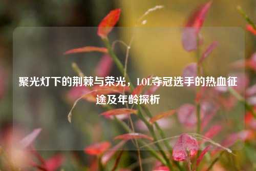聚光灯下的荆棘与荣光，LOL夺冠选手的热血征途及年龄探析