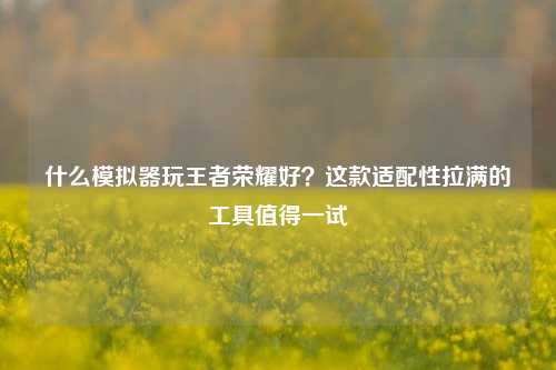 什么模拟器玩王者荣耀好？这款适配性拉满的工具值得一试