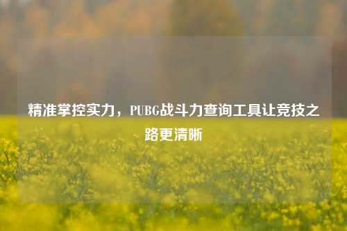 精准掌控实力，PUBG战斗力查询工具让竞技之路更清晰