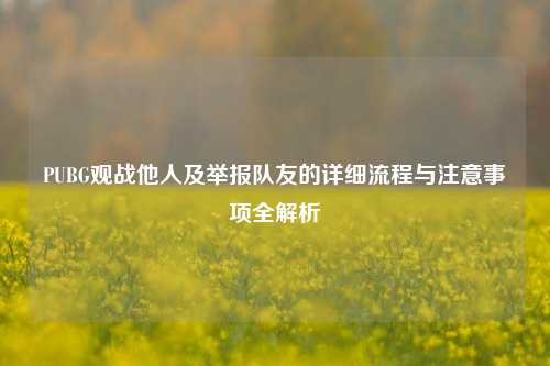 PUBG观战他人及举报队友的详细流程与注意事项全解析