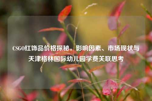 CSGO红饰品价格探秘，影响因素、市场现状与天津格林国际幼儿园学费关联思考