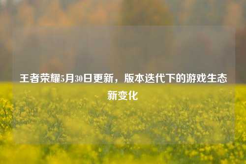 王者荣耀5月30日更新，版本迭代下的游戏生态新变化