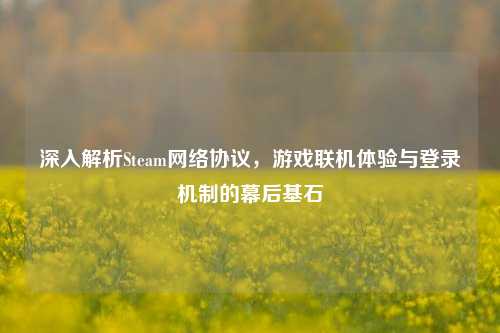 深入解析Steam网络协议，游戏联机体验与登录机制的幕后基石