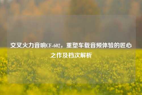交叉火力音响CF-602，重塑车载音频体验的匠心之作及档次解析