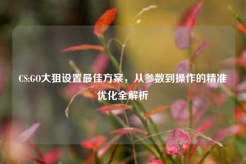 CS:GO大狙设置最佳方案，从参数到操作的精准优化全解析