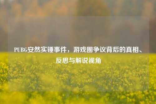 PUBG安然实锤事件，游戏圈争议背后的真相、反思与解说视角