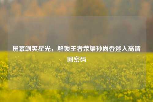 屏幕飒爽星光，解锁王者荣耀孙尚香迷人高清图密码
