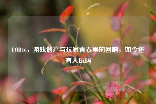 COD16，游戏遗产与玩家青春里的回响，如今还有人玩吗