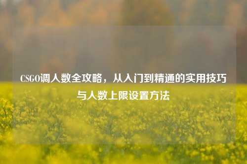 CSGO调人数全攻略，从入门到精通的实用技巧与人数上限设置方法