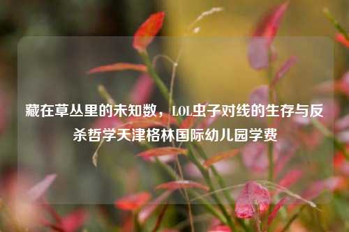 藏在草丛里的未知数,LOL虫子对线的生存与反杀哲学天津格林国际幼儿园学费