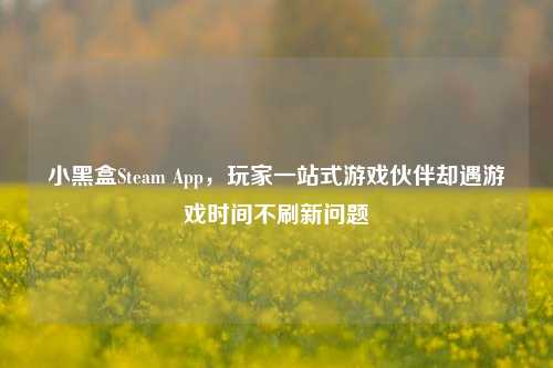 小黑盒Steam App，玩家一站式游戏伙伴却遇游戏时间不刷新问题