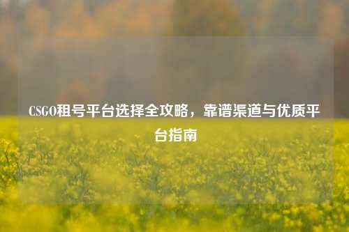 CSGO租号平台选择全攻略，靠谱渠道与优质平台指南