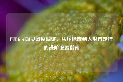 PUBG AKM灵敏度调试，从压枪难到人形自走挂的进阶设置指南