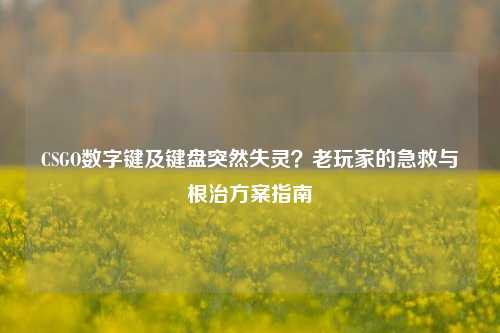 CSGO数字键及键盘突然失灵？老玩家的急救与根治方案指南