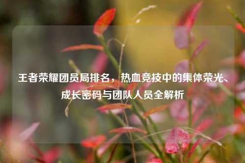 王者荣耀团员局排名，热血竞技中的集体荣光、成长密码与团队人员全解析