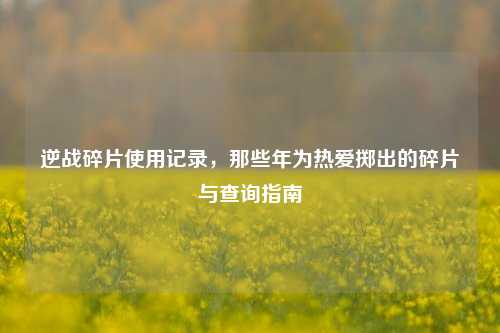 逆战碎片使用记录，那些年为热爱掷出的碎片与查询指南