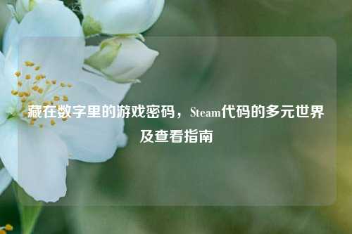 藏在数字里的游戏密码，Steam代码的多元世界及查看指南