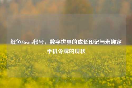 纸鱼Steam帐号，数字世界的成长印记与未绑定手机令牌的现状