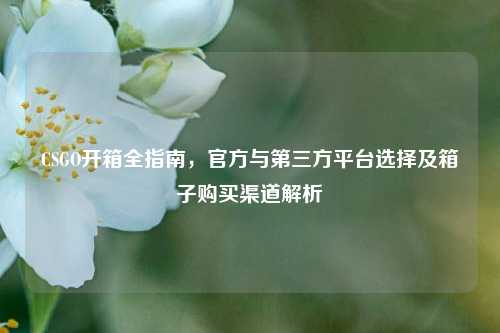 CSGO开箱全指南，官方与第三方平台选择及箱子购买渠道解析