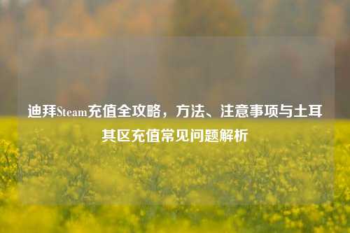 迪拜Steam充值全攻略，方法、注意事项与土耳其区充值常见问题解析
