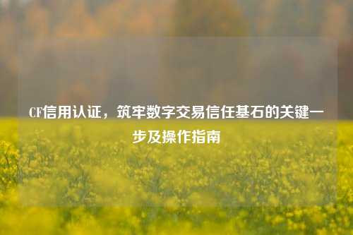 CF信用认证，筑牢数字交易信任基石的关键一步及操作指南