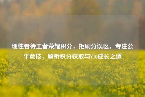 理性看待王者荣耀积分，拒刷分误区，专注公平竞技，解析积分获取与V10成长之道
