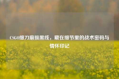 CSGO细刀磨损黑线，藏在细节里的战术密码与情怀印记