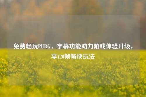 免费畅玩PUBG，字幕功能助力游戏体验升级，享120帧畅快玩法