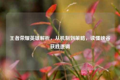 王者荣耀英雄解析，从机制到策略，读懂峡谷获胜逻辑