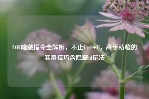 LOL隐藏指令全解析，不止Ctrl+F，高手私藏的实用技巧含隐藏id玩法