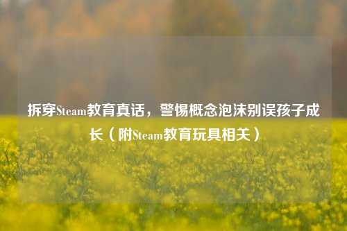 拆穿Steam教育真话，警惕概念泡沫别误孩子成长（附Steam教育玩具相关）