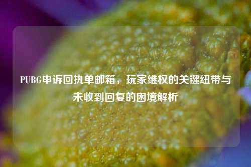 PUBG申诉回执单邮箱，玩家维权的关键纽带与未收到回复的困境解析