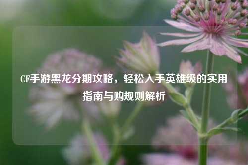 CF手游黑龙分期攻略，轻松入手英雄级的实用指南与购规则解析