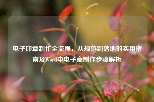 电子印章制作全流程，从规范到落地的实用指南及Word中电子章制作步骤解析