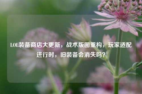 LOL装备商店大更新，战术版图重构，玩家适配进行时，旧装备会消失吗？