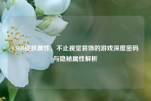 CSGO皮肤属性，不止视觉装饰的游戏深度密码与隐秘属性解析